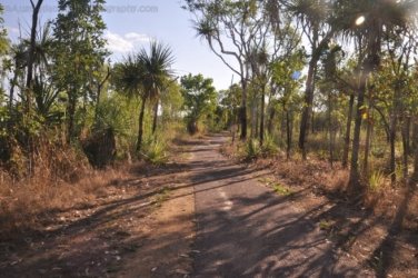 Jabiru Lake Kakadu 021 DSC 0800 Jabiru Lake Kakadu 021 DSC 0800