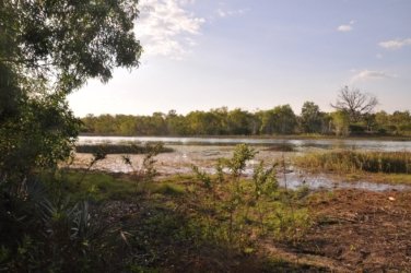 Jabiru Lake Kakadu 044 DSC 0823 Jabiru Lake Kakadu 044 DSC 0823