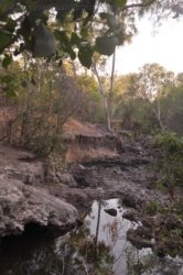 Jalmurark CG 006 Jalmurark CG Elsey NP 005 DSC 0213 2021 10 23 06h46m43s Jalmurark CG 006 Jalmurark CG Elsey NP 005 DSC 0213 2021 10 23 06h46m43s