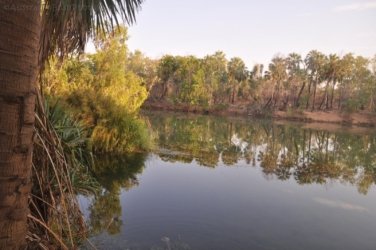 Jalmurark CG 008 Jalmurark CG Elsey NP 007 DSC 0215 2021 10 23 06h53m29s Jalmurark CG 008 Jalmurark CG Elsey NP 007 DSC 0215 2021 10 23 06h53m29s