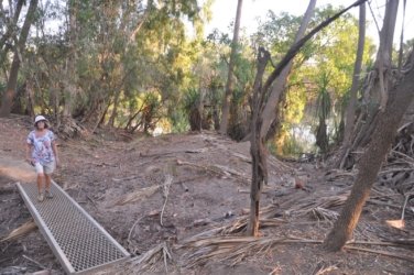 Jalmurark CG 010 Jalmurark CG Elsey NP 009 DSC 0217 2021 10 23 06h56m05s Jalmurark CG 010 Jalmurark CG Elsey NP 009 DSC 0217 2021 10 23 06h56m05s