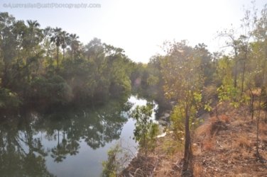 Jalmurark CG 017 Jalmurark CG Elsey NP 016 DSC 0224 2021 10 23 07h42m47s Jalmurark CG 017 Jalmurark CG Elsey NP 016 DSC 0224 2021 10 23 07h42m47s