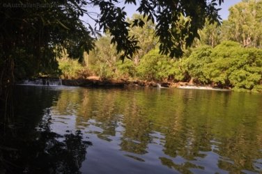 Jalmurark CG 027 Jalmurark CG Elsey NP 026 DSC 0234 2021 10 23 08h12m02s Jalmurark CG 027 Jalmurark CG Elsey NP 026 DSC 0234 2021 10 23 08h12m02s