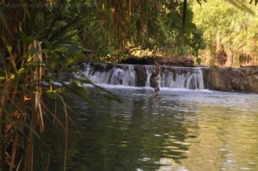 Jalmurark CG 029 Jalmurark CG Elsey NP 028 DSC 0236 2021 10 23 08h12m23s Jalmurark CG 029 Jalmurark CG Elsey NP 028 DSC 0236 2021 10 23 08h12m23s