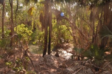 Jalmurark CG 032 Jalmurark CG Elsey NP 031 DSC 0239 2021 10 23 08h29m31s Jalmurark CG 032 Jalmurark CG Elsey NP 031 DSC 0239 2021 10 23 08h29m31s