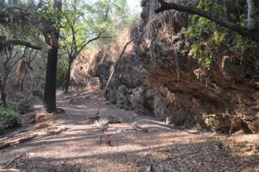 Jalmurark CG 033 Jalmurark CG Elsey NP 032 DSC 0240 2021 10 23 08h29m49s Jalmurark CG 033 Jalmurark CG Elsey NP 032 DSC 0240 2021 10 23 08h29m49s