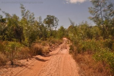 Kubara Walk Kakadu 002 Nourlangie Kakadu 062 DSC 0886 Kubara Walk Kakadu 002 Nourlangie Kakadu 062 DSC 0886