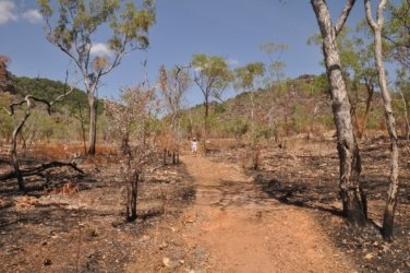 Kubara Walk Kakadu 009 Nourlangie Kakadu 069 DSC 0893 Kubara Walk Kakadu 009 Nourlangie Kakadu 069 DSC 0893
