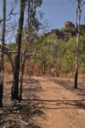 Kubara Walk Kakadu 010 Nourlangie Kakadu 070 DSC 0894 Kubara Walk Kakadu 010 Nourlangie Kakadu 070 DSC 0894