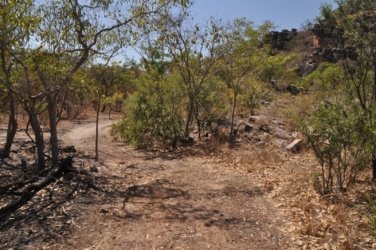 Kubara Walk Kakadu 011 Nourlangie Kakadu 071 DSC 0895 Kubara Walk Kakadu 011 Nourlangie Kakadu 071 DSC 0895