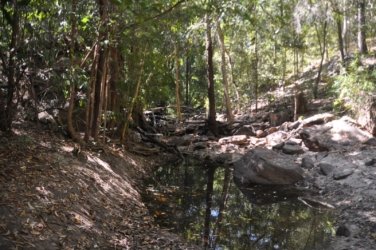 Kubara Walk Kakadu 016 Nourlangie Kakadu 076 DSC 0900 1 Kubara Walk Kakadu 016 Nourlangie Kakadu 076 DSC 0900 1