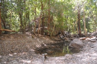 Kubara Walk Kakadu 017 Nourlangie Kakadu 077 DSC 0901 Kubara Walk Kakadu 017 Nourlangie Kakadu 077 DSC 0901