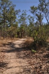 Kungardun Walk Kakadu 002 DSC 0373 Kungardun Walk Kakadu 002 DSC 0373