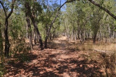 Kungardun Walk Kakadu 016 DSC 0387 Kungardun Walk Kakadu 016 DSC 0387