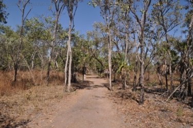 Mamukala Wetlands Kakadu 004 DSC 0718 Mamukala Wetlands Kakadu 004 DSC 0718