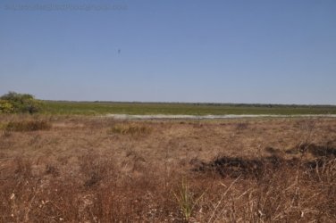Mamukala Wetlands Kakadu 025 DSC 0739 Mamukala Wetlands Kakadu 025 DSC 0739