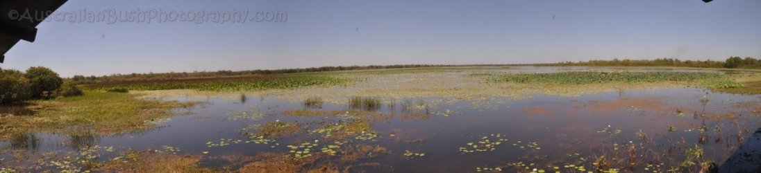 Mamukala Wetlands Mamukala Wetlands