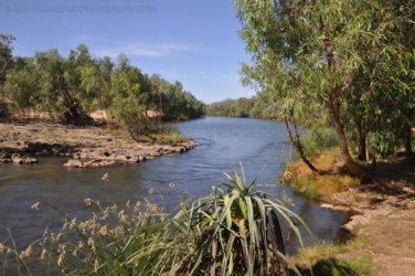 Manbulloo2 004 DSC 0528 Manbulloo2 004 DSC 0528