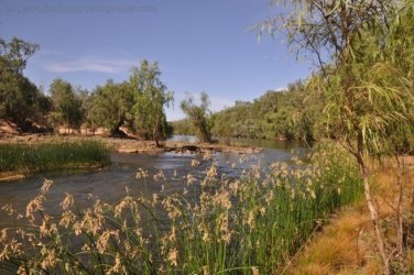 Manbulloo2 009 DSC 0533 1 Manbulloo2 009 DSC 0533 1