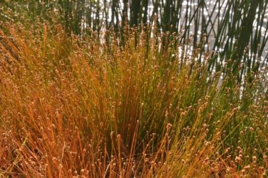 Manbulloo2 011 DSC 0535 Manbulloo2 011 DSC 0535