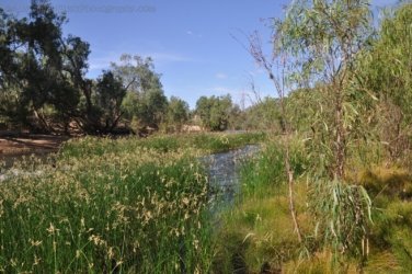 Manbulloo2 015 DSC 0539 Manbulloo2 015 DSC 0539