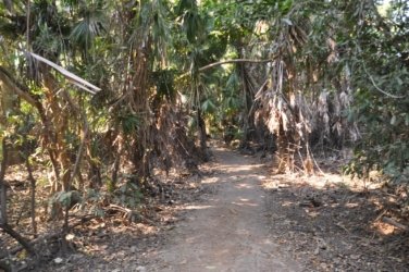 Mangarre Walk Kakadu 003 DSC 0347 Mangarre Walk Kakadu 003 DSC 0347
