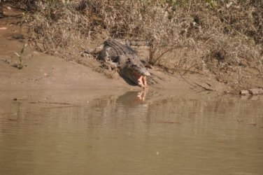 Mangarre Walk Kakadu 005 DSC 0349 Mangarre Walk Kakadu 005 DSC 0349