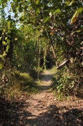 Mangarre Walk Kakadu 013 DSC 0357 Mangarre Walk Kakadu 013 DSC 0357