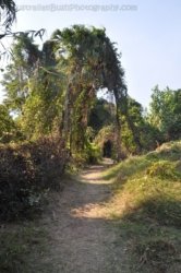Mangarre Walk Kakadu 014 DSC 0358 Mangarre Walk Kakadu 014 DSC 0358