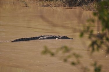 Mangarre Walk Kakadu 017 DSC 0361 Mangarre Walk Kakadu 017 DSC 0361