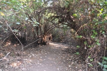 Mangarre Walk Kakadu 019 DSC 0363 Mangarre Walk Kakadu 019 DSC 0363
