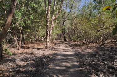 Mardukal Billabong Walk Kakadu 003 DSC 0426 Mardukal Billabong Walk Kakadu 003 DSC 0426