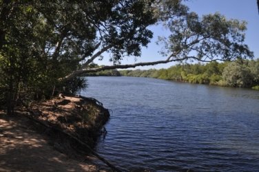 Mardukal Billabong Walk Kakadu 007 DSC 0430 Mardukal Billabong Walk Kakadu 007 DSC 0430