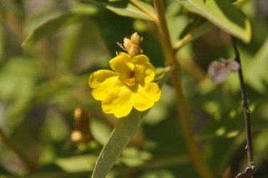 Merl CG and Cahills Crossing Kakadu 012 2021 08 07 13 40 27 DSC 0083 Merl CG and Cahills Crossing Kakadu 012 2021 08 07 13 40 27 DSC 0083