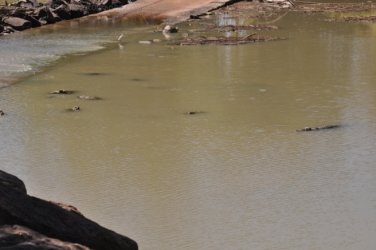 Merl CG and Cahills Crossing Kakadu 017 2021 08 07 13 51 12 DSC 0088 Merl CG and Cahills Crossing Kakadu 017 2021 08 07 13 51 12 DSC 0088