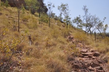 Nawilbinbin Walk 003 DSC 0008 2021 10 06 10h22m13s Nawilbinbin Walk 003 DSC 0008 2021 10 06 10h22m13s