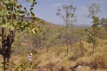 Nawilbinbin Walk 004 DSC 0009 2021 10 06 10h23m19s Nawilbinbin Walk 004 DSC 0009 2021 10 06 10h23m19s