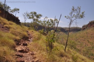 Nawilbinbin Walk 005 DSC 0010 2021 10 06 10h25m02s 1 Nawilbinbin Walk 005 DSC 0010 2021 10 06 10h25m02s 1