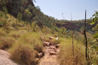 Nawilbinbin Walk 011 DSC 0016 2021 10 06 10h31m33s Nawilbinbin Walk 011 DSC 0016 2021 10 06 10h31m33s