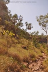 Nawilbinbin Walk 015 DSC 0020 2021 10 06 10h33m30s Nawilbinbin Walk 015 DSC 0020 2021 10 06 10h33m30s