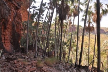 Nawilbinbin Walk 022 DSC 0026 2021 10 06 10h43m36s Nawilbinbin Walk 022 DSC 0026 2021 10 06 10h43m36s