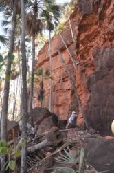 Nawilbinbin Walk 027 DSC 0031 2021 10 06 10h47m10s Nawilbinbin Walk 027 DSC 0031 2021 10 06 10h47m10s