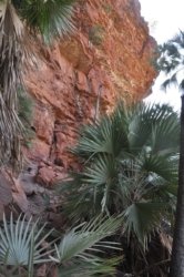 Nawilbinbin Walk 032 DSC 0036 2021 10 06 10h50m21s Nawilbinbin Walk 032 DSC 0036 2021 10 06 10h50m21s