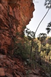 Nawilbinbin Walk 037 DSC 0041 2021 10 06 10h58m33s Nawilbinbin Walk 037 DSC 0041 2021 10 06 10h58m33s