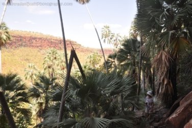 Nawilbinbin Walk 038 DSC 0042 2021 10 06 10h58m40s Nawilbinbin Walk 038 DSC 0042 2021 10 06 10h58m40s