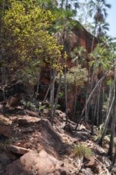 Nawilbinbin Walk 055 DSC 0059 2021 10 06 11h12m08s Nawilbinbin Walk 055 DSC 0059 2021 10 06 11h12m08s