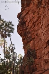 Nawilbinbin Walk 056 DSC 0060 2021 10 06 11h15m37s Nawilbinbin Walk 056 DSC 0060 2021 10 06 11h15m37s