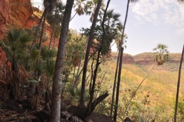 Nawilbinbin Walk 062 DSC 0066 2021 10 06 11h30m23s Nawilbinbin Walk 062 DSC 0066 2021 10 06 11h30m23s