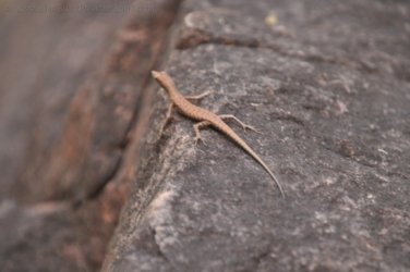 Nawilbinbin Walk 065 DSC 0069 2021 10 06 11h32m45s Nawilbinbin Walk 065 DSC 0069 2021 10 06 11h32m45s