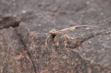 Nawilbinbin Walk 067 DSC 0071 2021 10 06 11h33m12s Nawilbinbin Walk 067 DSC 0071 2021 10 06 11h33m12s